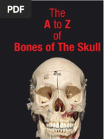 Download The A to Z of Bones of the Skull by AspenPharma SN6082815 doc pdf