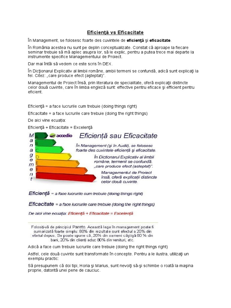 Eficienta Vs Eficacitate | PDF