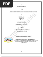 Download Pawan Vaishnav Project Report by Pawan Vaishnav SN60828388 doc pdf