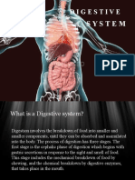 Digestive System