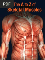 Download The A to Z of Skeletal Muscles by AspenPharma SN6082948 doc pdf