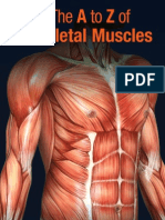 The A To Z of Skeletal Muscles