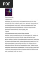 Download Askep CHF by Tn Budy Suryadi SN60830231 doc pdf