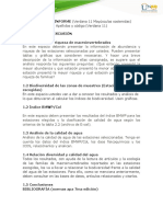 Anexo 2 - Plantilla Informe ECAPMA