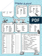 Nouns Singular and Plural Grammar Guides Picture Dictionaries 38791