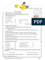 Ficha_de_leitura_Bicicleta___chuva