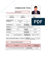 Curriculum Vitae - Villalba Quijhua Willy