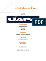 Tarea X de Neuropsicologia