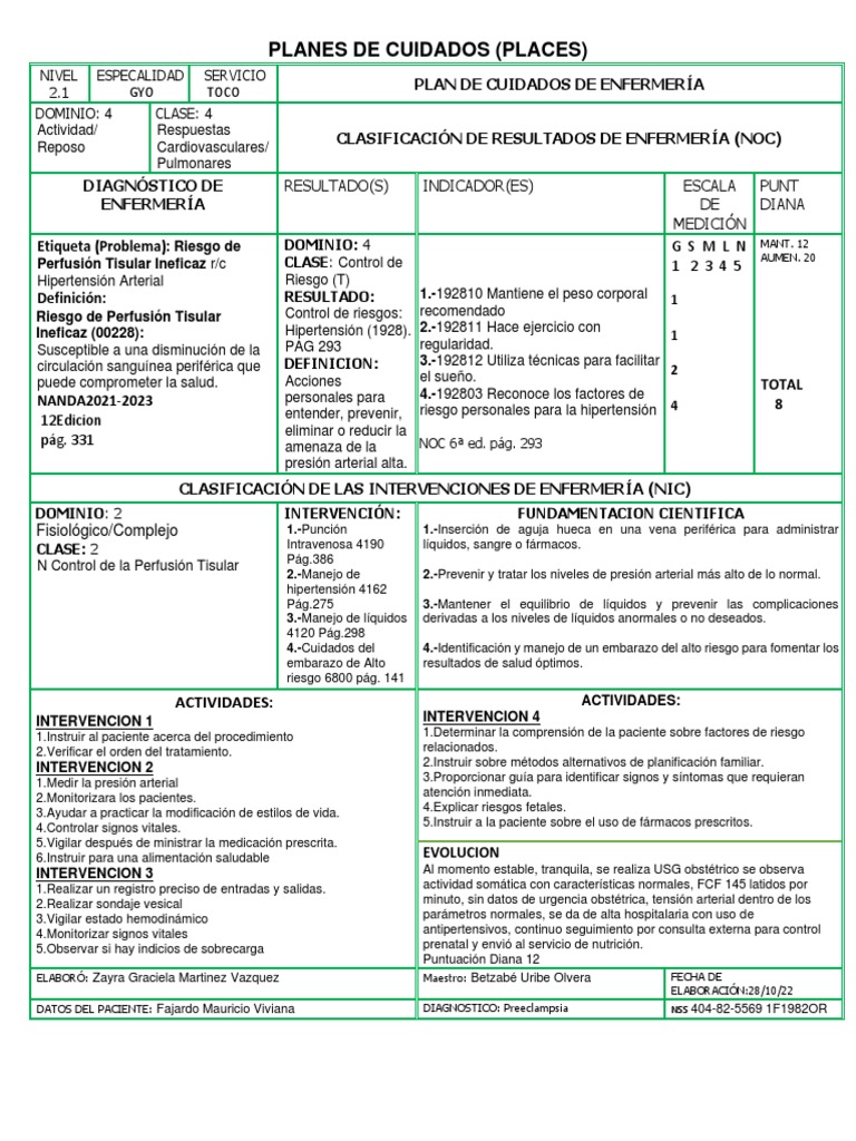 Plan de Cuidados en Hipertensión y Preeclampsia | PDF | Hipertensión ...