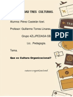 Cultura Organizacional.