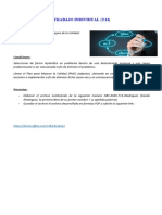 Trabajo Individual DIAGRAMA DE PMC