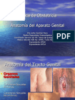 Anatomia Del Aparato Genital Femenino