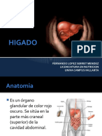 Anatomiayfisiologiadelhigado 120217114909 Phpapp02