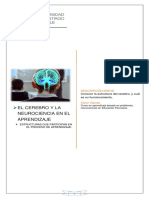 02 - Estructuras Que Participan en El Proceso de Aprendizaje