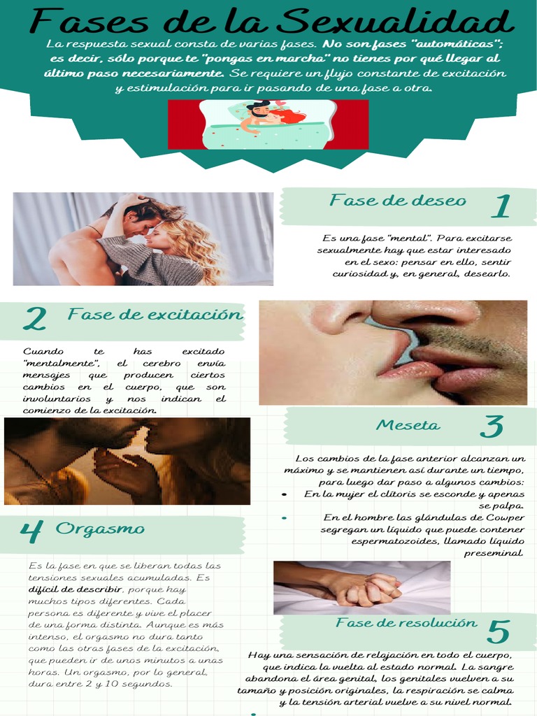 Las fases de la respuesta sexual humana | PDF