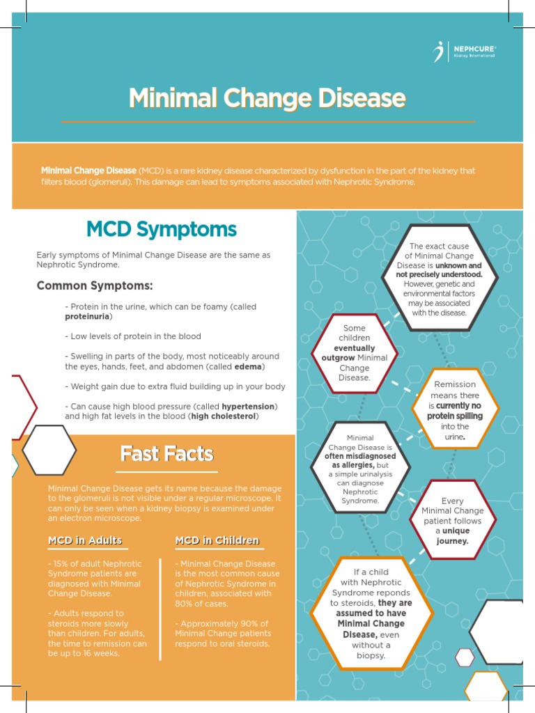 Minimal Change Disease Fact Sheet 4.12.18 PDF Human Diseases And