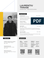 Curriculum Vitae - Laurentiu Tanase