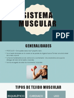 Sistema de Muscular