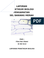 Download LAPORAN PRAKTIKUM BIOLOGI by Fika Dwi Utami SN60837257 doc pdf