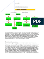 Nutrición animal: procesos y aparatos