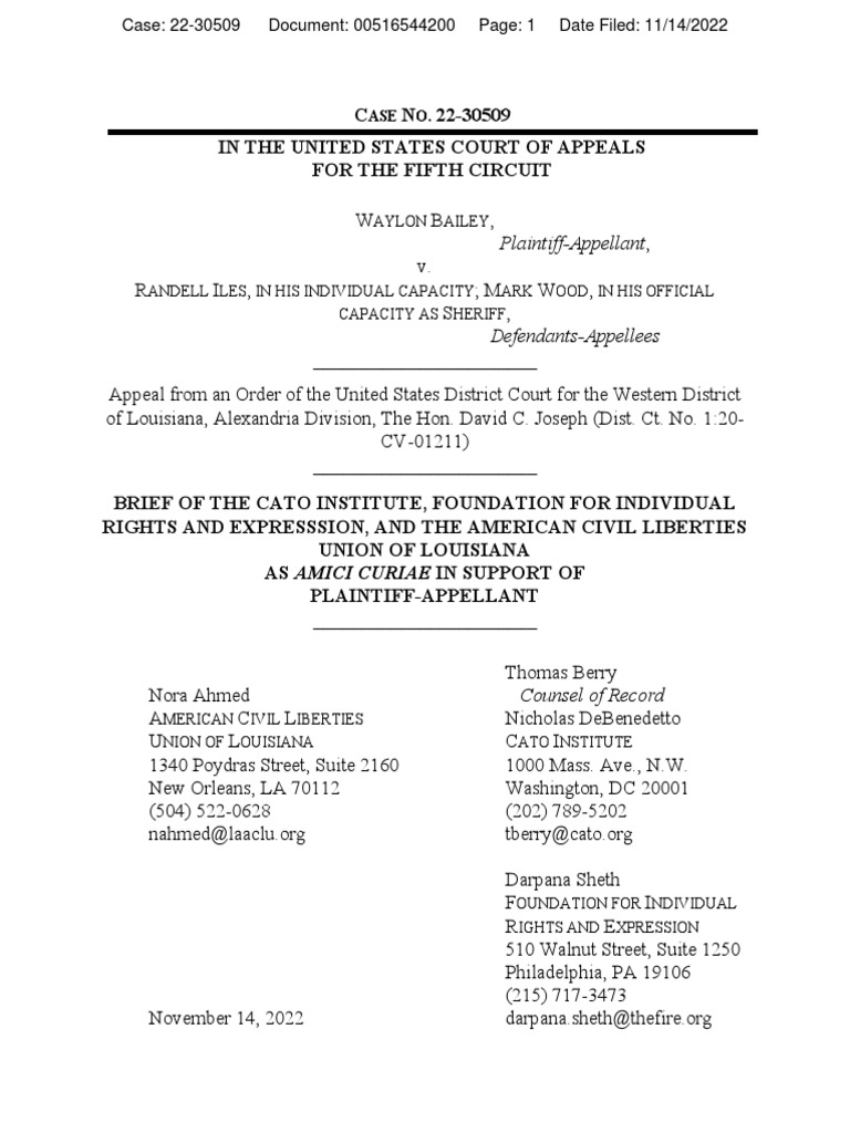 Bailey v. Iles PDF First Amendment To The United States