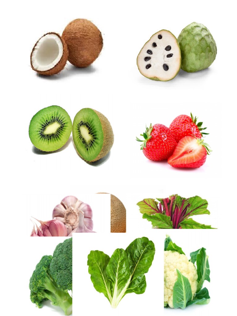 Vocabulario Zaida PDF