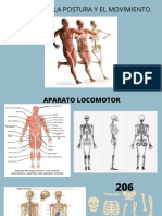 Copia de FISIOLOGIA EQUIPO 4