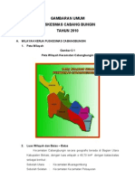 Gambaran Umum Puskesmas Cabangbungin Tahun 2010