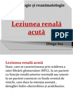 Leziunea Renala Acuta