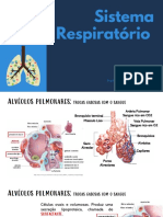 Sistema Respiratório Parte II