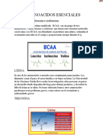 Aminoacidos