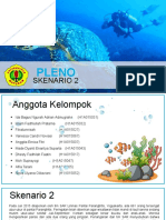 Pleno Skenario 2