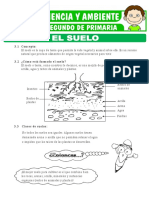 Formacion y Clases de Suelos para Segundo de Primaria