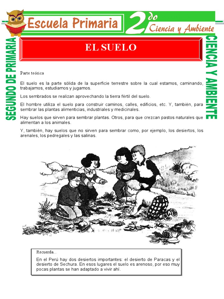 Para Que Sirve El Suelo para Segundo de Primaria | PDF | Suelo | Pasto