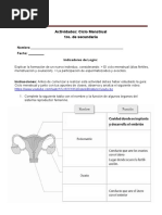 Actividad-Ciclo-Menstrual Biología