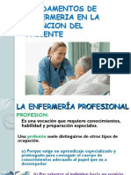 Enfermeria Profesional