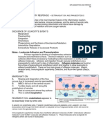 General Pathology Lecture on Inflammation