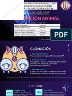 281-Eq3 Clonación Animal