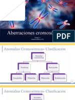 Aberraciones Cromosómicas II