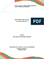 Informe Mecanica de Fluidos - Fuerza Sobre Superficies Planas