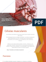 Exposicion Fisiologia 1