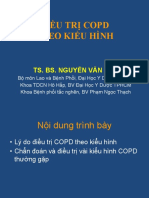 Điều Trị Copd Theo Kiểu Hình