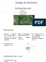 Microbiología de Alimentos: E. coli