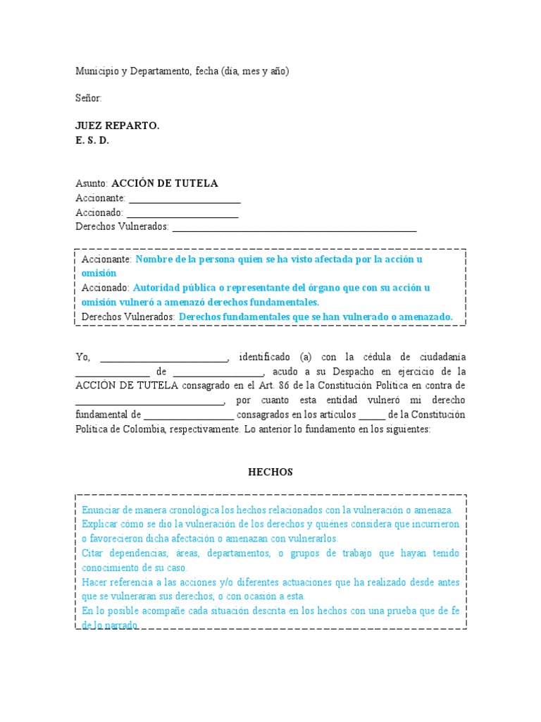 Guía para Interponer Acción de Tutela | PDF