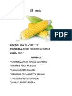 El maíz: beneficios, usos y formas de consumo