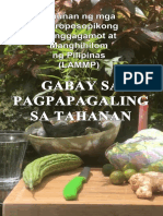 Gabay Sa Pagpapagaling Sa Tahanan Final
