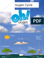 The Oxygen Cycle