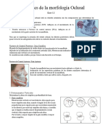 PDF Determinantes de La Morfologia Oclusal DD