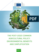 Cap Post 2020 Environ Benefits Simplification - en - 0