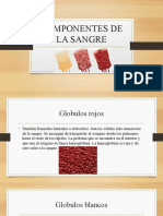 Componentes de La Sangre-1